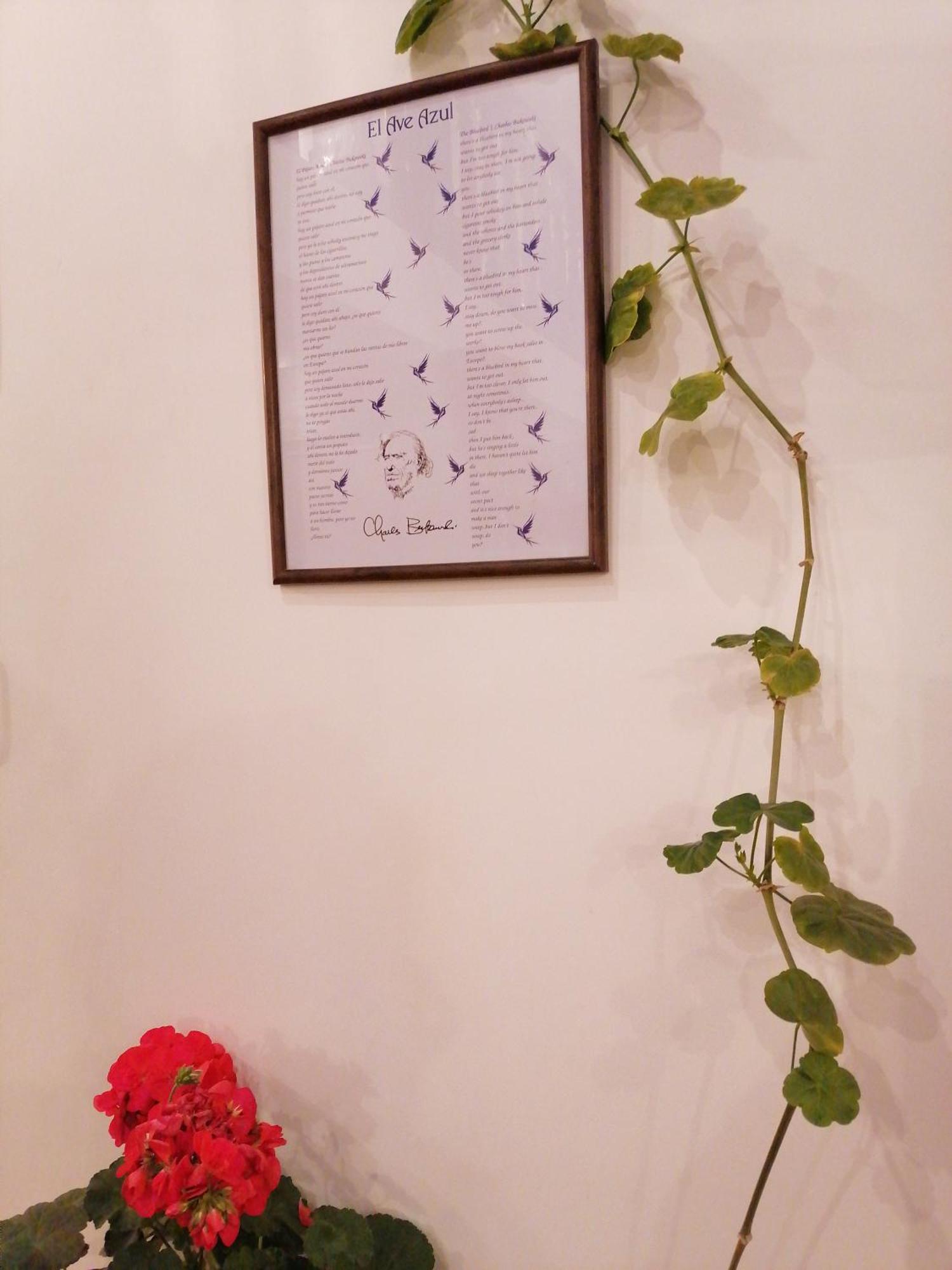 El Ave Azul Boutique Hotel Куско Экстерьер фото